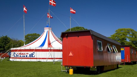 Gelächter im dänischen Parlament wegen Bericht über Freundschaft zwischen Elefantendame und Kamel