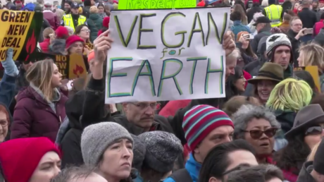 Joaquin Phoenix und Martin Sheen unter den bei Klimaprotestaktion festgenommenen Aktivisten