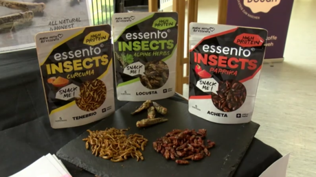 Käfer zum Frühstück – Insekten stehlen auf der Grünen Woche die Show