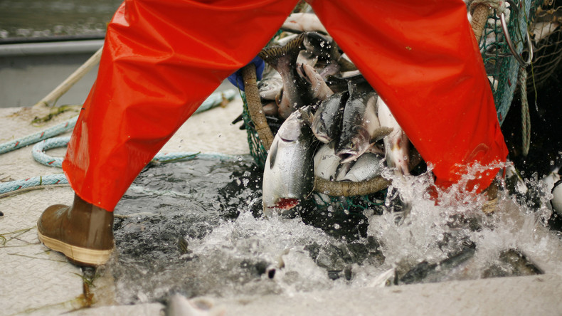 Fischer im US-Bundesstaat Alaska leiden unter Russlands Nahrungsmittelembargo