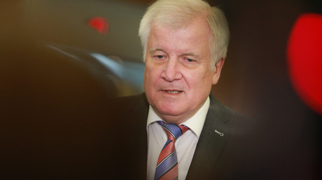Niederlage für Seehofer: Verfassungsrichter geben AfD-Klage statt
