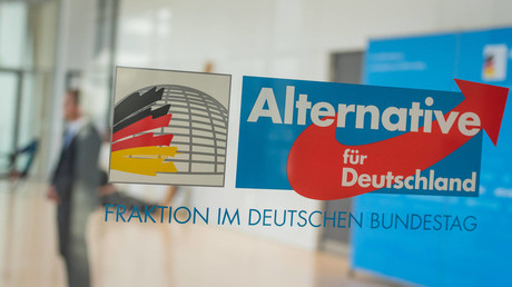 Marktradikal und angepasst statt alternativ – Studie untersucht Abstimmungen der AfD