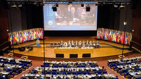 OPCW bestätigt "Spuren" von Nowitschok in Nawalny-Proben