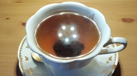 Neueste Posse im Fall Nawalny: Jetzt soll Vergiftung doch wieder per Tee im Flughafen erfolgt sein