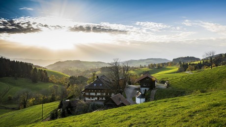 Zur optimalen Erholung: Nawalny bezieht Luxus-Ferienwohnung im Schwarzwald