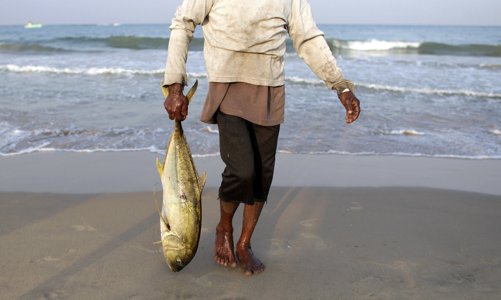 Nach Corona-Ausbruch auf Fischmarkt: Sri-lankischer Politiker isst bei Pressekonferenz rohen Fisch