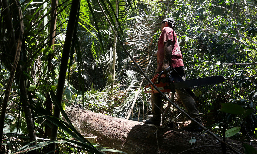 Peru: Deutschland investiert 20 Millionen Euro in Amazonas-Schutzgebiete