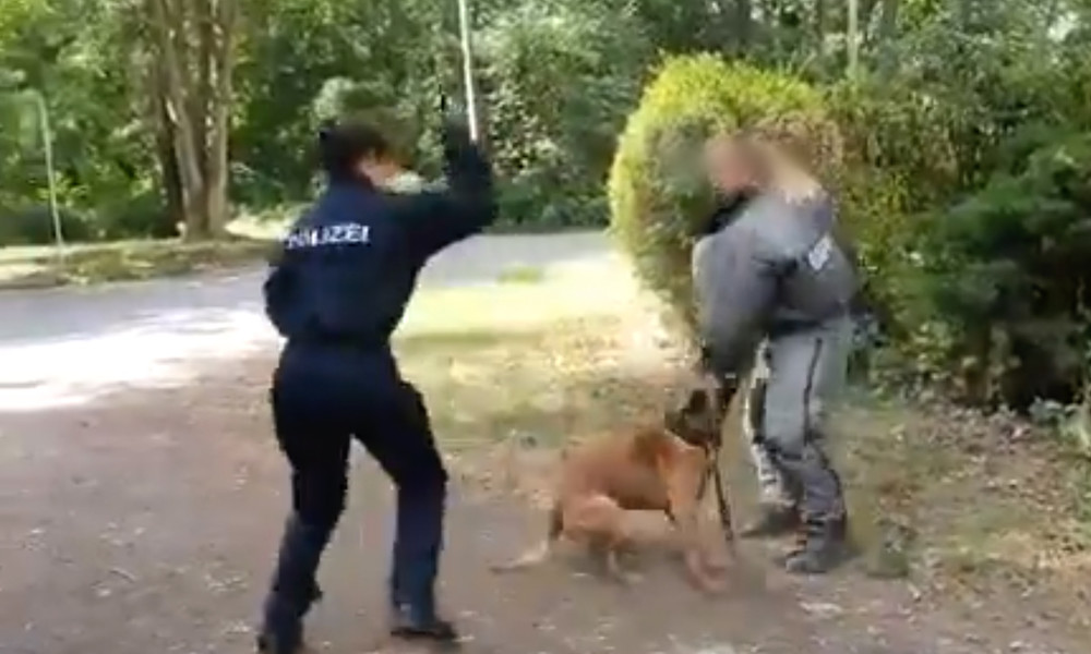 "Druff jetzt auf das Vieh!" – Kritik an brutalem Polizeihundetraining ebbt nicht ab
