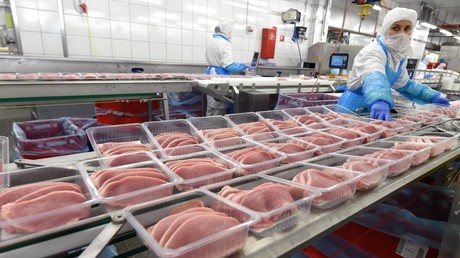 Tierproduktion in Deutschland: Jährlich 100 Millionen Tiere getötet für den Mülleimer