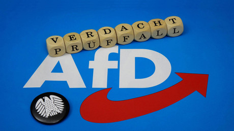 Verdachtsfallprüfung: AfD bald unter Beobachtung?