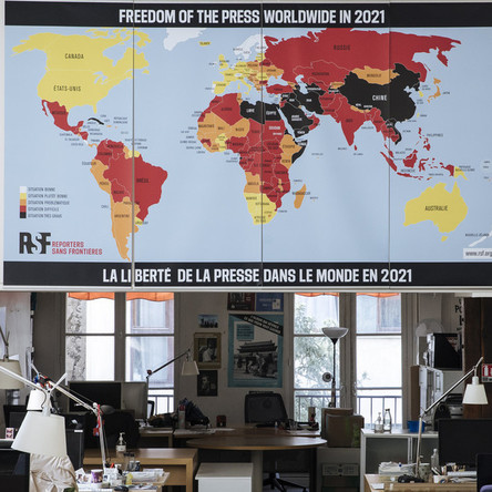 "Reporter ohne Grenzen" – eingebettete NGO mit Agenda