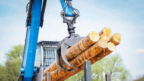 Knappheit an Bauholz wegen Exportboom und privater Nachfrage