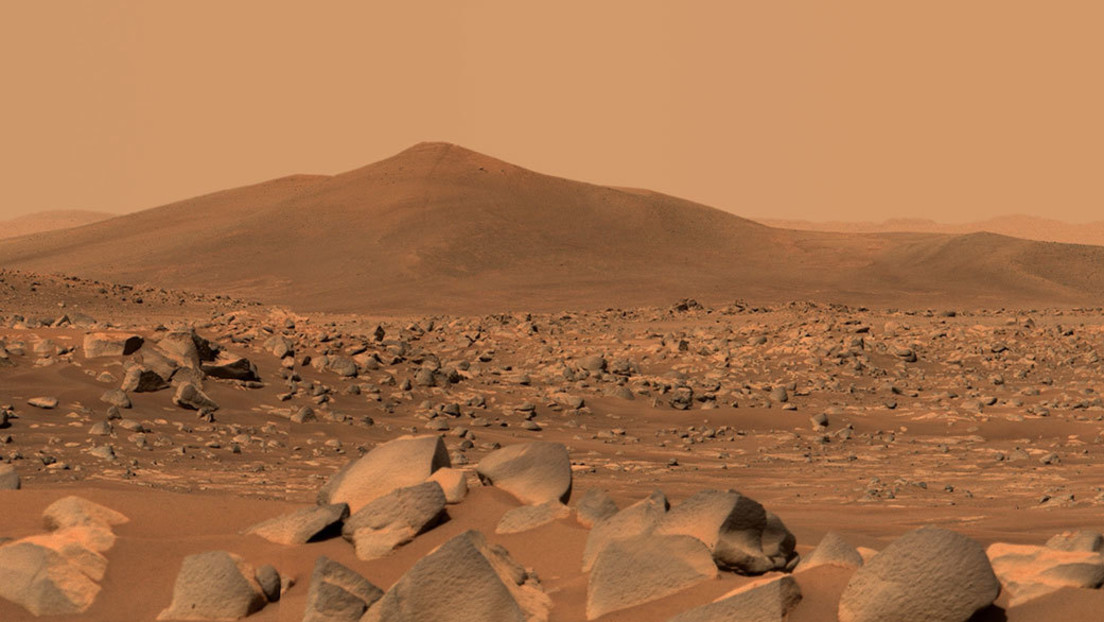 Hat die NASA aus Versehen bereits "per Anhalter" irdisches Leben auf den Mars gebracht?