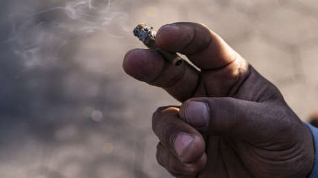 Frankfurt am Main als Türöffner für bundesweite Cannabis-Legalisierung?