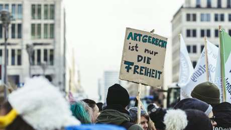 Umfrage: Mehrheit der Deutschen sieht Redefreiheit in Gefahr