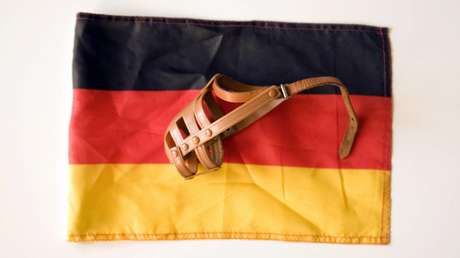 "Entfremdung von politisch-medialer Klasse" – Viele glauben nicht mehr an Meinungsfreiheit