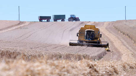 Zukunft der Landwirtschaft nicht ohne Nachhaltigkeit und höhere Preise