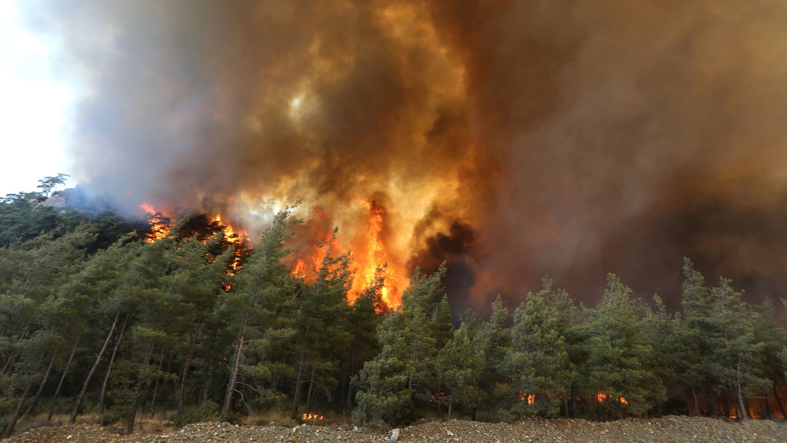 Griechenland und Türkei: Waldbrände und Temperaturen auf Rekordhöhe