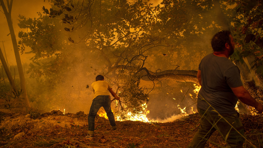 LIVE: Kampf gegen massive Waldbrände in Griechenland geht weiter