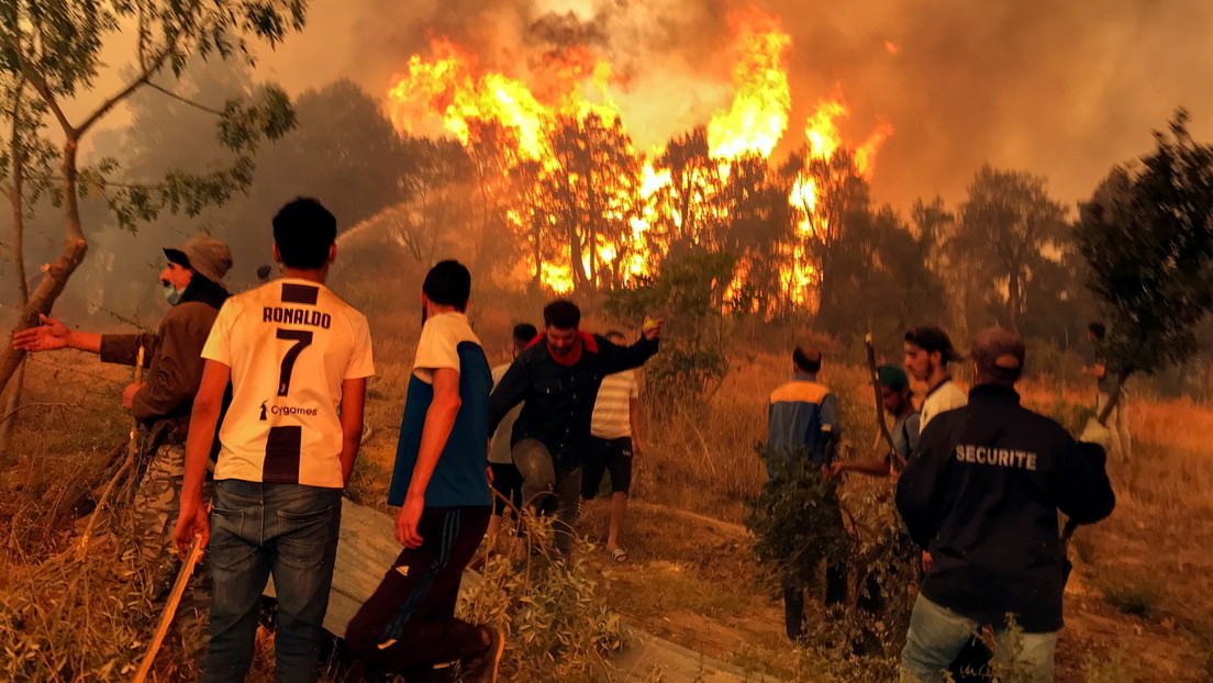 Waldbrände in Algerien: 61 Festnahmen nach Lynchmord an vermeintlichem Urheber