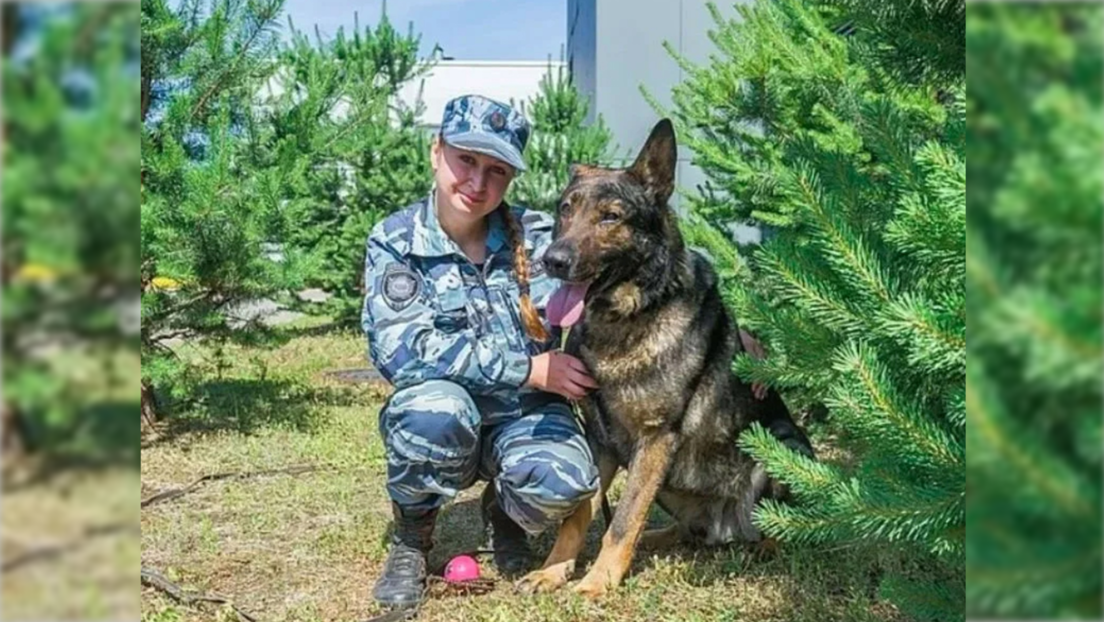 Polizeihund aus Russland bekommt angesehene italienische Auszeichnung für Vierbeiner