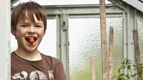 Essbarer Impfstoff? Usbekische Forscher entwickelten laut Medienbericht "Impftomaten" gegen Corona