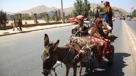 Russischer Soziologe über die Situation in Kabul nach den Anschlägen: "Die Stadt hat ein Eigenleben"