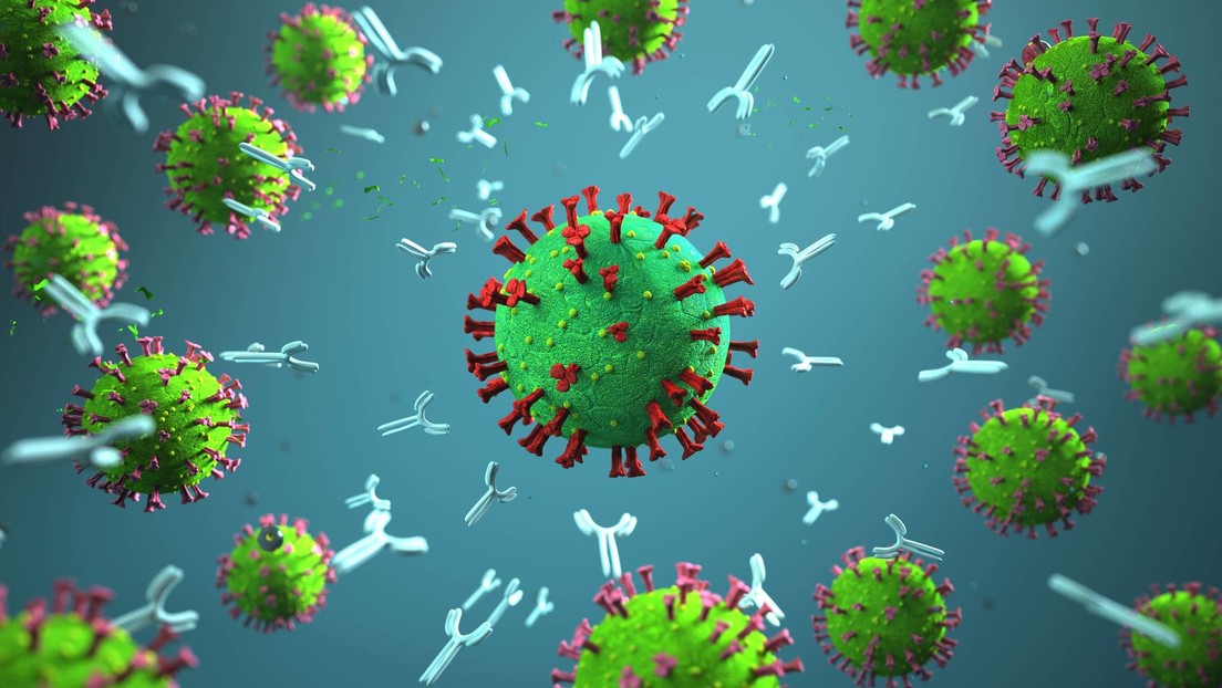 Studie zur Immunabwehr: Frühere Erkältungen schützen bei COVID-19-Erkrankung