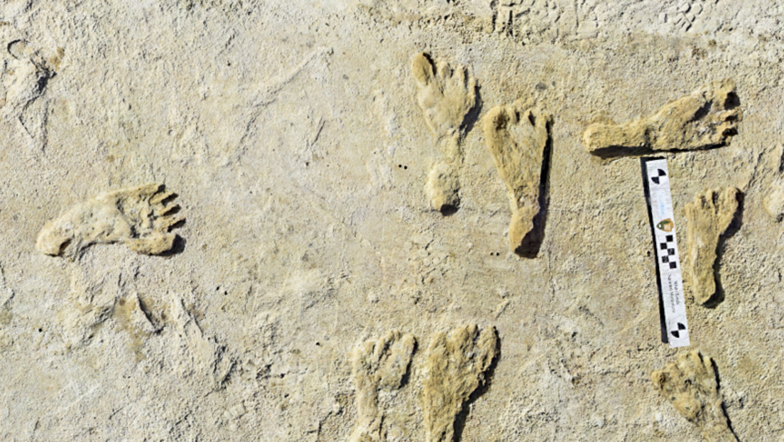 Fossile Fußabdrücke belegen: Nordamerika war schon vor 23.000 Jahren besiedelt