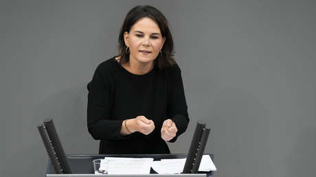 Baerbock kann sich Meldeportal für Steuerbetrug auch auf Bundesebene vorstellen