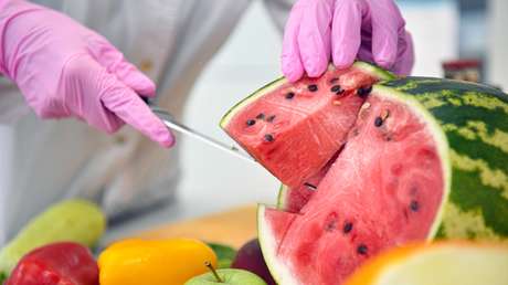Moskau: Tod nach Konsum von Wassermelone – Ermittler finden Spuren von Insektenvernichtungsmittel