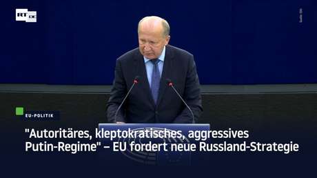 "Autoritäres, kleptokratisches Putin-Regime" – EU-Parlament fordert neue Russland-Strategie