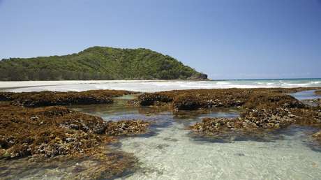 Paradise not lost: Australien gibt Weltnaturerbe-Regenwald an Ureinwohner zurück