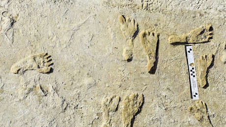 Fossile Fußabdrücke belegen: Nordamerika war schon vor 23.000 Jahren besiedelt
