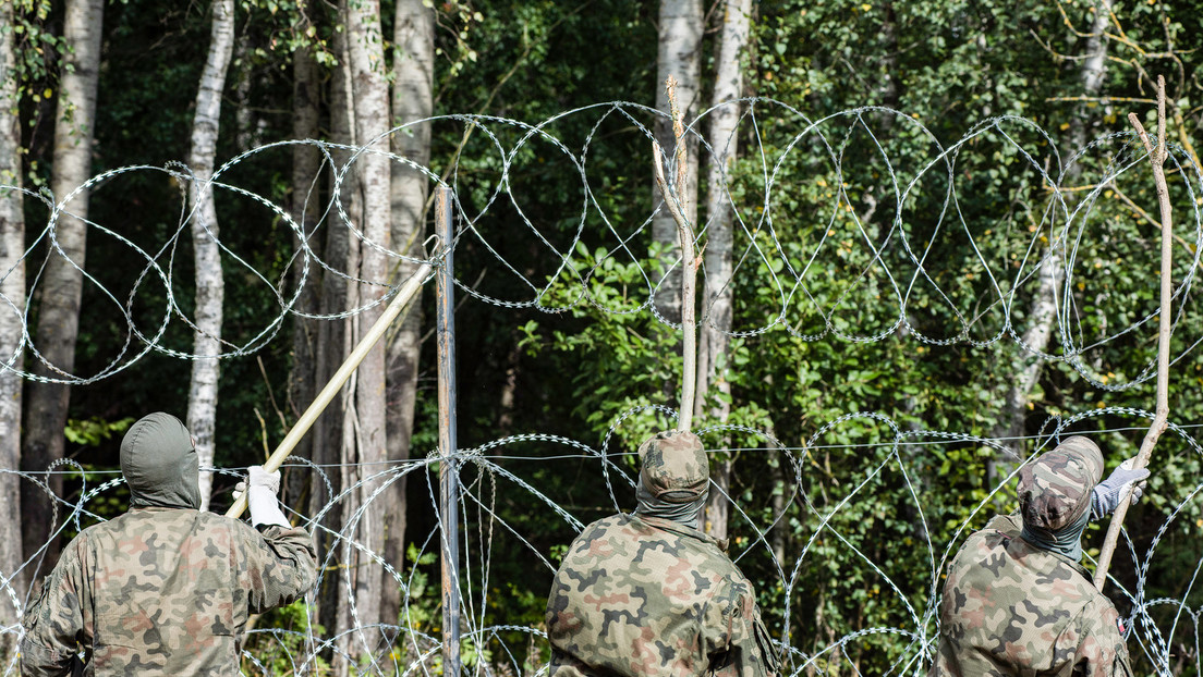 Amnesty International kritisiert Polen: Illegaler Umgang mit Migranten im Grenzgebiet