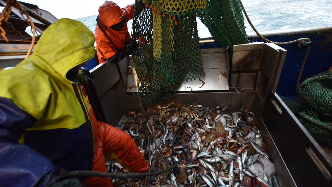 Streit über Fischerei-Lizenzen: Paris droht London erneut mit Sanktionen