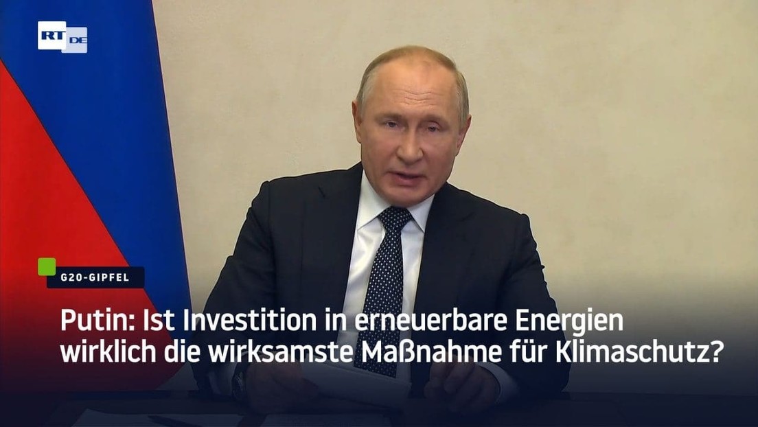 Putin: Ist Investition in erneuerbare Energien wirklich die wirksamste Maßnahme für Klimaschutz?