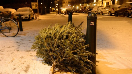 Im Trend der Diversität: EU-Richtlinie wollte Wort "Weihnachten" abschaffen