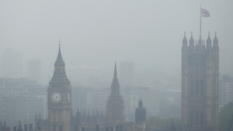 Kokainspuren im Westminster Palace: Britisches Parlament will Spürhunde einsetzen