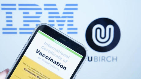 Vom Gesundheitsministerium zu IBM - Personalwechsel mit Geschmäckle