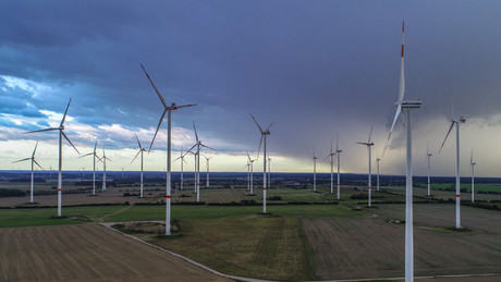 Hunderttausende seltene Greifvögel und Fledermäuse werden jedes Jahr durch Windräder getötet