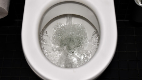 Toilettenspülung zu laut: Gericht in Italien spricht Nachbarn Entschädigung zu