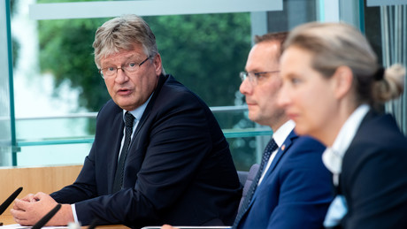 "Ich sehe da ganz klar totalitäre Anklänge" – AfD-Vorsitzender Meuthen verlässt die Partei