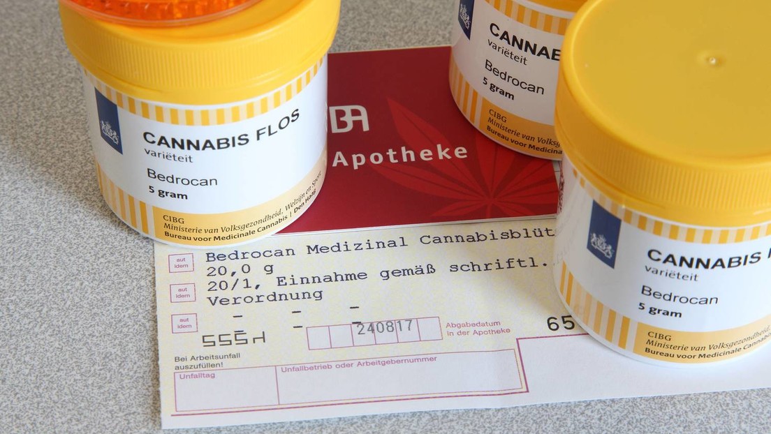 Bedarf an medizinischem Cannabis in deutschen Apotheken: Von acht auf über 9.000 Kilo in zehn Jahren