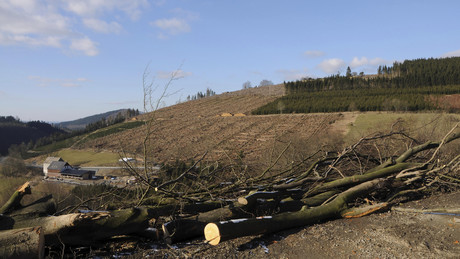 "Dümmste Energie-Politik der Welt": Explodierende Strompreise und Zerstörung der Landschaft