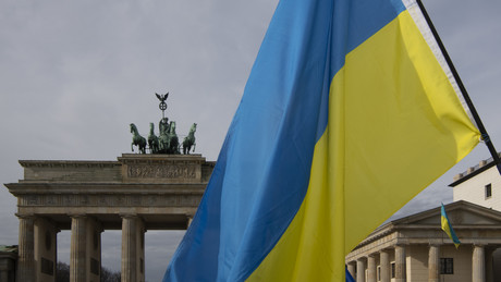 AfD und Linke verurteilen russische Operation als "Angriff"