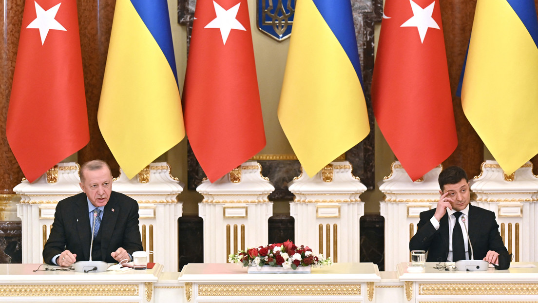 Erdoğan in Vermittlungsrolle: Welche Strategie verfolgt die Türkei im Ukraine-Krieg?