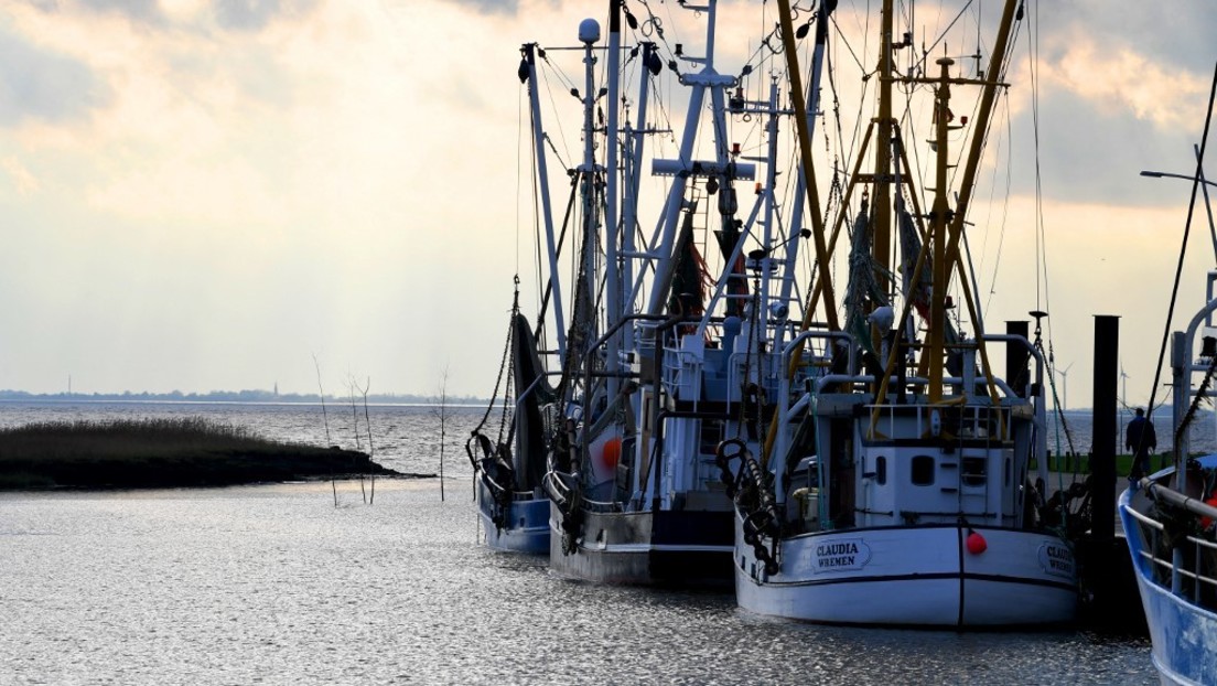 "Situation ist dramatisch" – Nord- und Ostseefischer bleiben wegen hoher Dieselpreise in Häfen