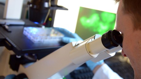 Pathologie-Konferenz: "Erste Beweise" für tödliche Folgen der COVID-19-Impfungen