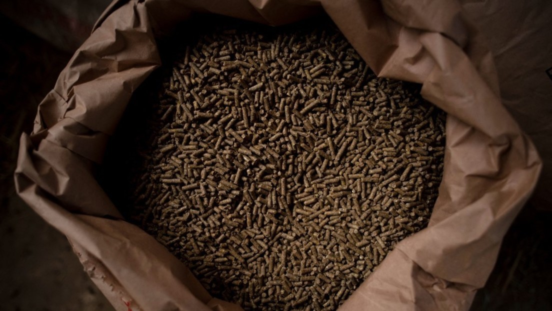 Kasachstan will Ausfuhr von Getreide und Mehl beschränken
